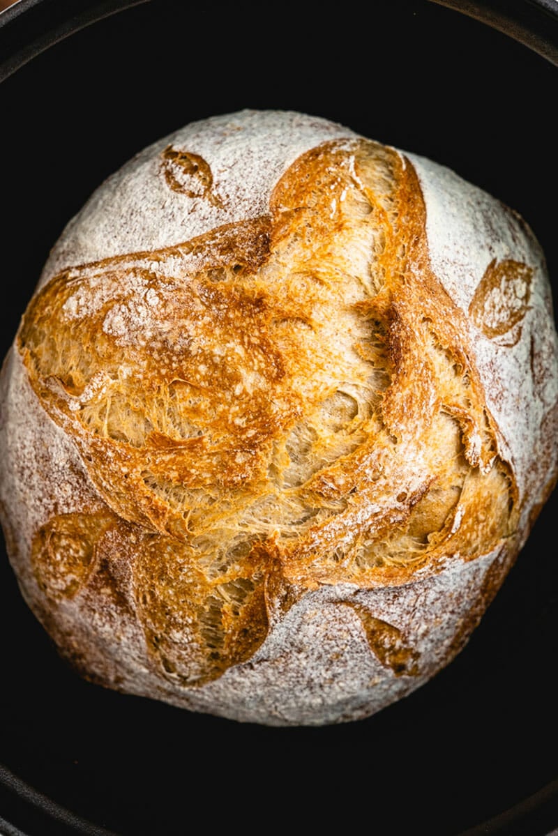 Homemade no knead bread